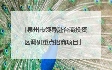 泉州市领导赴台商投资区调研重点招商项目